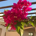 Apartment Aphrodite Sands - The Penthouse